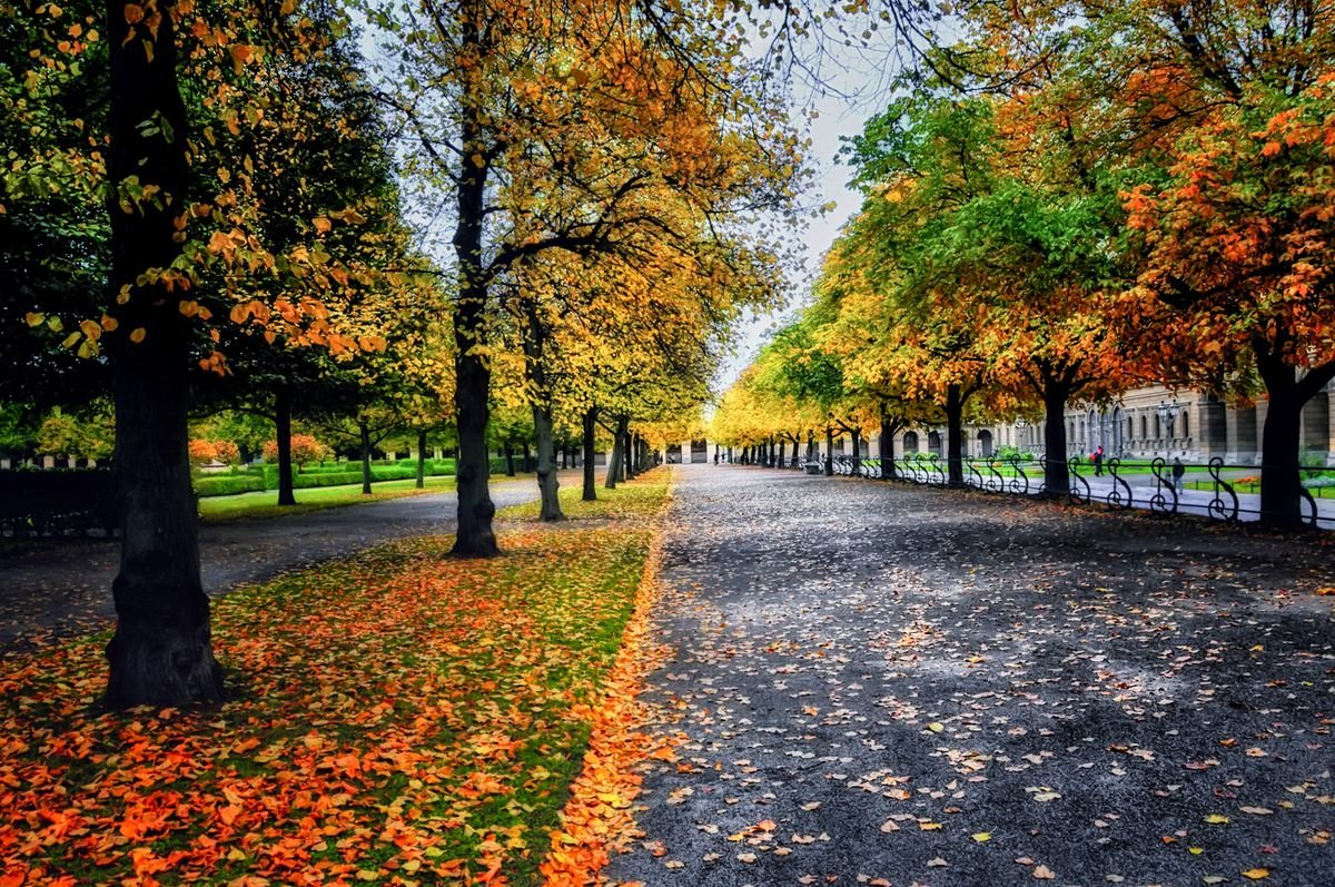 Walking & jogging track
