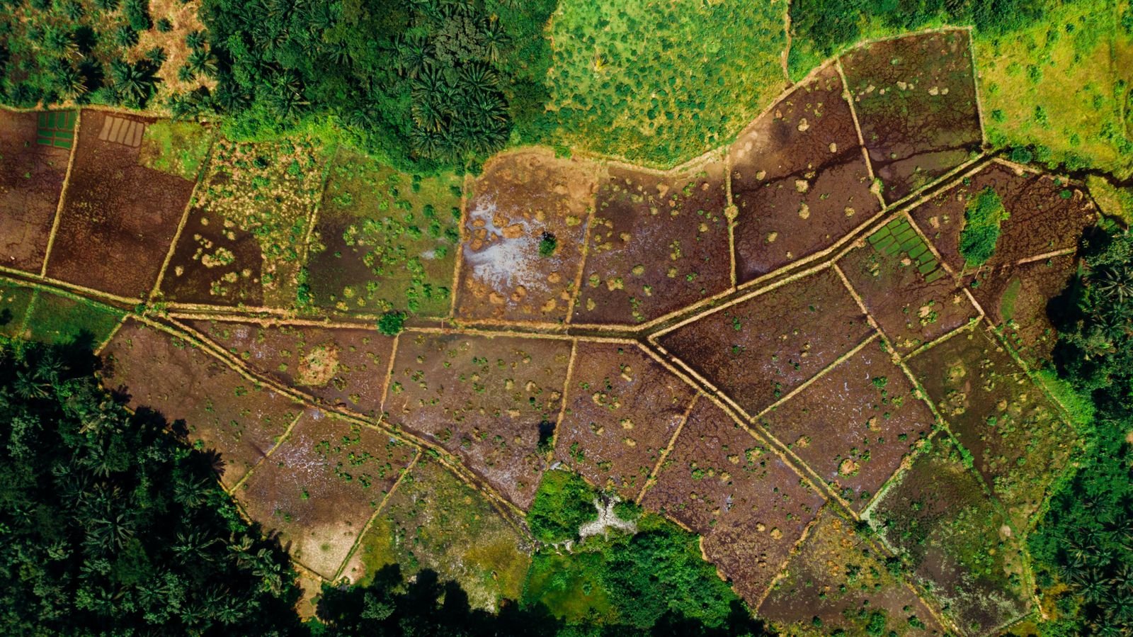 Demarcated land parcels
